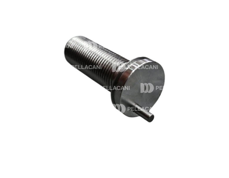 [2011030] REPUESTOS (BC) - REPUESTOS LINEA PESADA - PELLACANI - TORNILLO / BULON DE REG DE NUCLEO MAXX22T